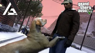 GTA 5 Roleplay - ARP - #623 - Pickle Gets Dognapped!