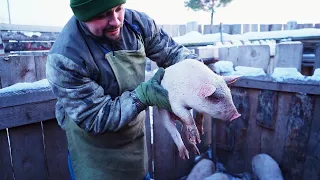 КУПИЛ 2 ДОМА В ДЕРЕВНЕ | ЧЕМ МЫ ЗАРАБАТЫВАЕМ НА ЖИЗНЬ!? | ДЕРЕВЕНСКИЙ БИЗНЕС