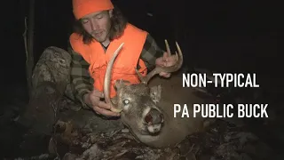 NON-TYPICAL PA Mountain Buck! | Public Land