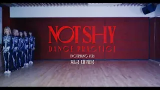 ITZY "Not Shy" Dance Practice (Skeleton Ver.) Cut