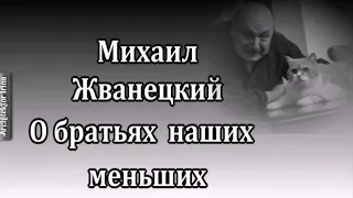 Михаил Жванецкий. Любимое. О братьях наших меньших. Сборник.  Часть 2