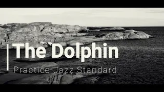 The Dolphin(ジャズスタンダード、ドルフィン、ピアノソロ)