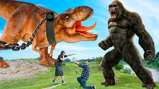 Most Dramatic T-rex Attack | King Kong Vs T-rex | Jurassic Park Fan-Made Film | Dinosaur | Ms.Sandy