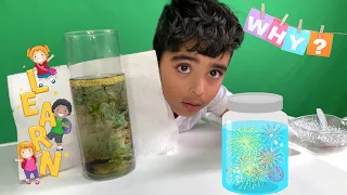 Why do food coloring mix in water not in oil? Fireworks In a Jar, Kids Experiment- Life of Ranvir