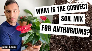 What is the right soil mix for Anthuriums? | Ep 9 Anthurium FAQ Series