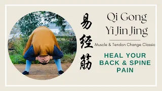 Heal your back and spine pain -  with Qi Gong -  Yi Jin Jing (Muscle & Tendon Change Classic)