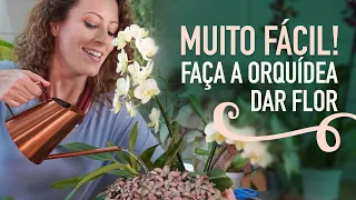 ADUBO CASEIRO para ORQUÍDEA florir: como cuidar de PLANTA em VASO