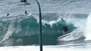 Seal, Wipe Outs, Sunrise & Lifeguards - Bronte Beach - By Cora Bezemer