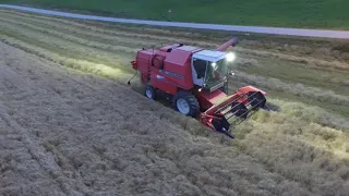 Massey Ferguson 23 Harvesting