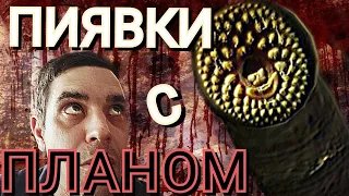 ПИЯВКИ С ПЛАНОМ