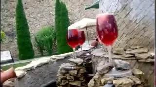 Молдова Малые Милешты фонтан у входа с красным вином!