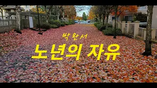 노년의 자유/박완서/반딧불이