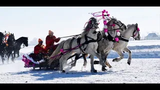 Конные скачки,русские тройки.Алтай.Уймонская долина.