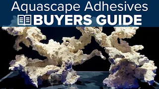 Saltwater Aquarium Dry Rock Aquascaping Glue, Epoxy and Mortar. How Do You Know Which One to Use?