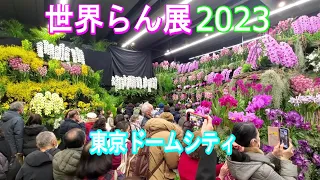 World Orchid Exhibition 2023（世界らん展2023）