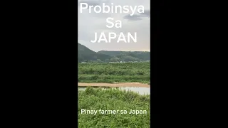 Province in Japan/Pinay Farmer in Japan