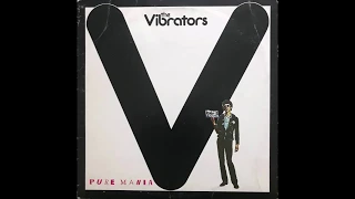 I Need A Slave - The Vibrators