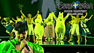 Suomalainen väliaikanumero | Eurovision laulukilpailu 2024 | SandePeikko