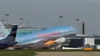 Bird Strikes Plane