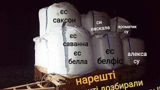 Нарешті дозбирали демо-поле соняшнику!!!🌻🔥 Подрібнюю стебла саморобним котком, бо скоро💦🌧️