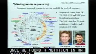 Experimental Evolution: 50,000 Generations in the Life of E. coli