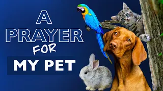 A Prayer For My Pet