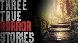 DON'T Explore The Rainforest Alone | 3 TRUE Horror Stories