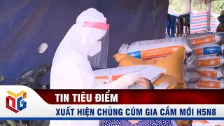 Quảng Ninh xuất hiện chủng cúm gia cầm mới H5N8| QTV