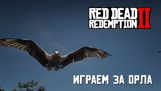 RDR 2 Native Trainer – сменили скин и играем за птицу