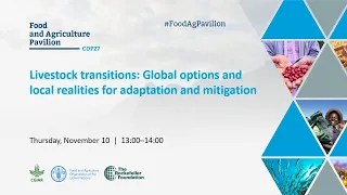 Livestock transitions: Global options and local realities for adaptation and mitigation