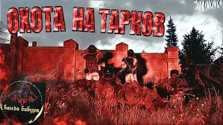 STALKER RP DAYZ | ОХОТА НА ТАРКОВ #22