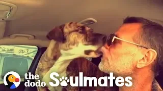 Watch This Guy Reunite With His Pit Bull That Went Missing In Car Crash | The Dodo Soulmates