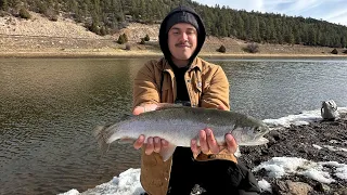 Mountain Lake STACKED with HUGE TROUT! (Lake Mary)