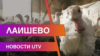 Новости Лаишевского района от 15 октября на#UTV