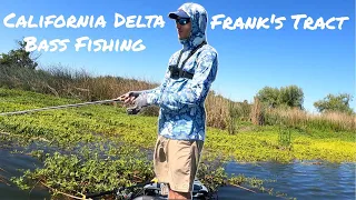 River Bass Fishing in Spring | CALIFORNIA DELTA