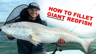 How To Fillet GIANT Redfish (EASY!)