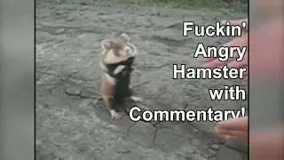 Fuckin' Angry Hamster with Commentary!