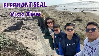Elephant Seal View Point - San Simeon, CA