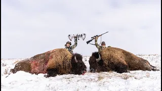 Winter Bison Hunt in Extreme Weather Conditions