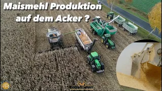 Maismehl Produktion auf dem Acker? Hier geht was! Mais Dreschen mit dem Größten Maispflücker in 🇩🇪