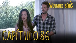 Wounded Birds (Yaralı Kuşlar) | Capítulo 86 en Español
