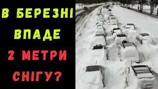 Нові снігопади в Україні: синоптики попередили про сильні "морози" у березні