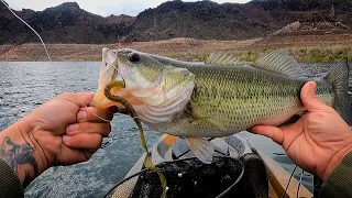 EPIC DAY Fishing Lake Mead! Plus Old Shipwreck Found! 3/16/24