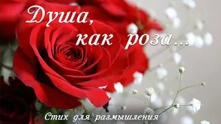 🌺 ДУША, КАК РОЗА. ОЛЬГА КАТЮХОВА🌺Прекрасный стих под музыку. Христианские стихи. Поэзия.