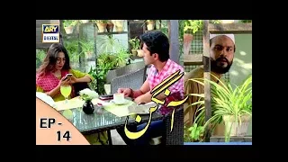 Aangan Episode - 14  - 7th February 2018 - ARY Digital [Subtitle Eng]