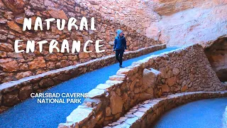 Natural Entrance hike to King's Palace | Carlsbad Caverns National Park