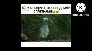 Dss video life 2 😨 Марина Марина что случилось