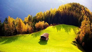 Soothing Stress Relief Music With Beautiful Nature 🍀 Stop Anxiety, Depression & Bad Vibes #50