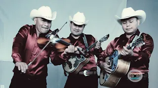 "Pan de vida"  - Trio Huasteco 2020