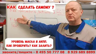 Уровень масла в АКПП. Как проверить? Как залить?